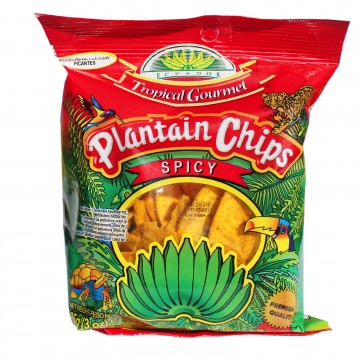 TG Spicy Plantain Chips (...